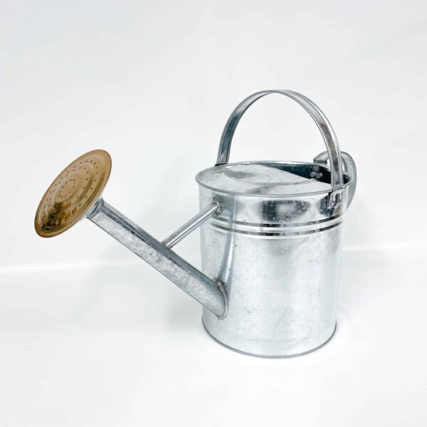 Zinc Watering Can