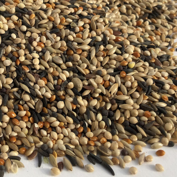 canary and finch blend