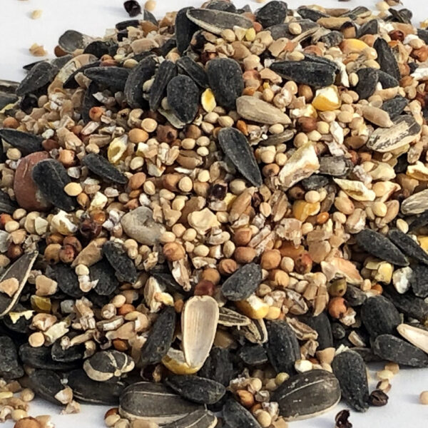 wild bird blend