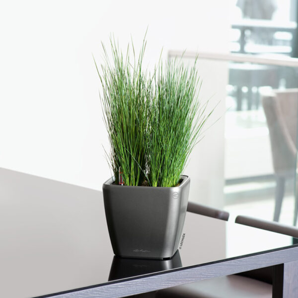 Charcoal Quadro Self Watering Planter