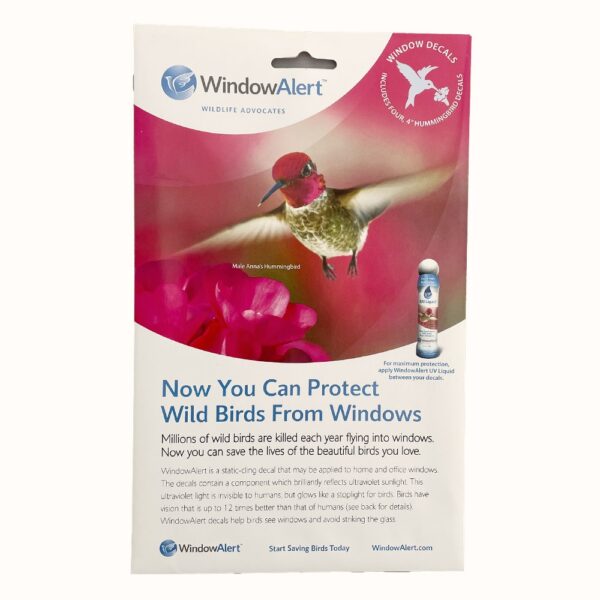 window alert hummingbird decals