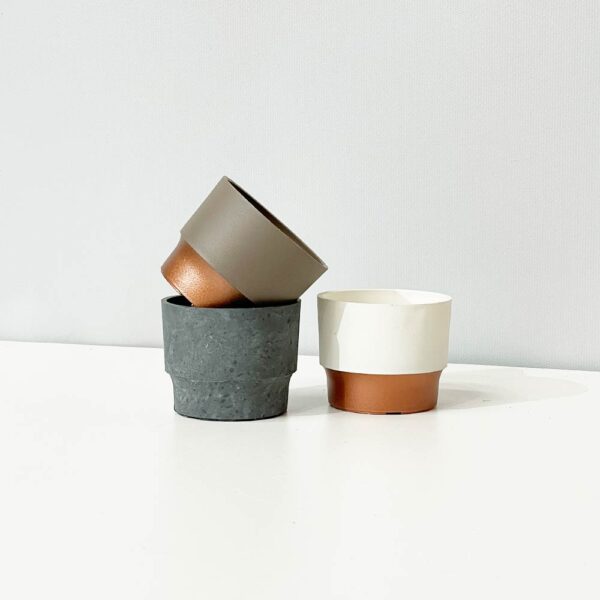 succulent pot