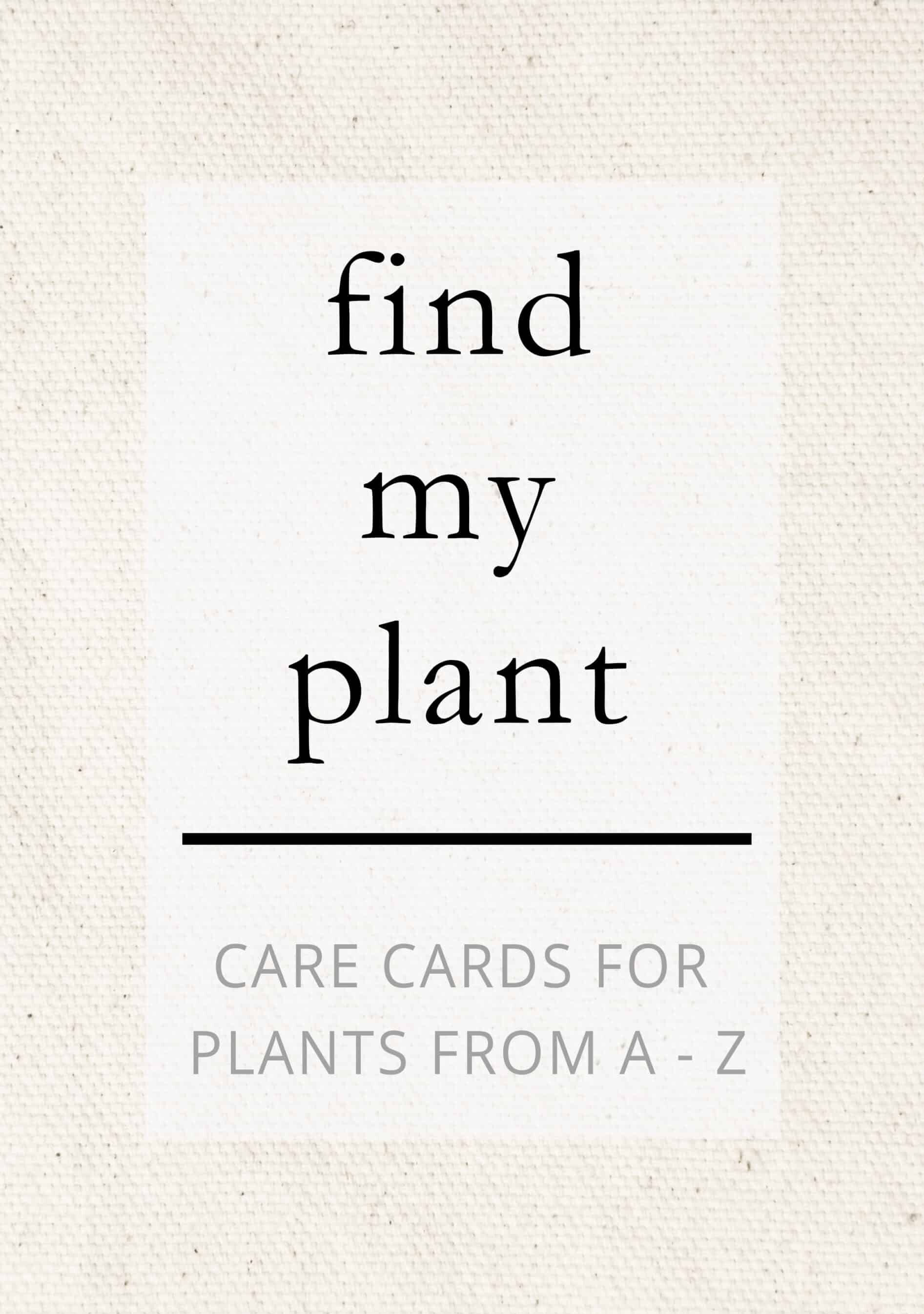 FIND-MY-PLANT-7