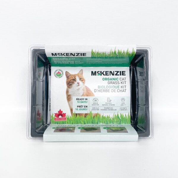 Organic Cat Grass Kit