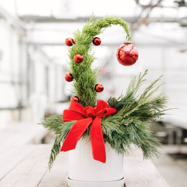 Bring holiday cheer to your home like never before by joining us for a Whoville Tree Workshop! Sign up today and make this holiday season truly magical!